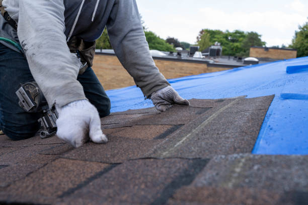 Best New Roof Installation  in Montesano, WA